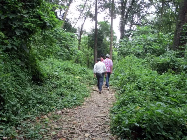 Photo of Buxa Tiger Reserve, Buxa Forest, West Bengal, India by Mustak Ali