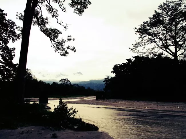 Photo of Buxa Tiger Reserve, Buxa Forest, West Bengal, India by Mustak Ali