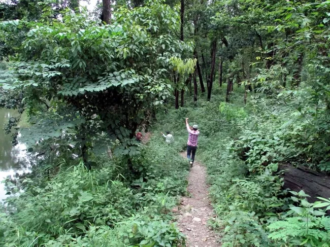 Photo of Buxa Tiger Reserve, Buxa Forest, West Bengal, India by Mustak Ali
