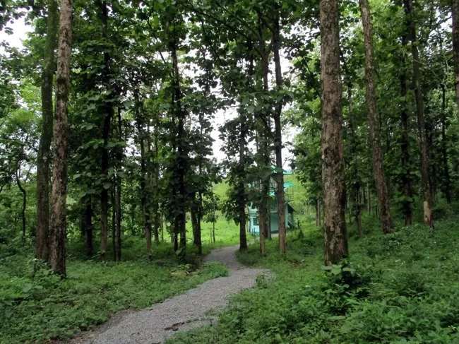 Photo of Buxa Tiger Reserve, Buxa Forest, West Bengal, India by Mustak Ali