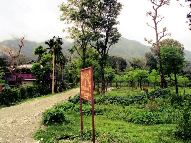 Photo of Buxa Tiger Reserve, Buxa Forest, West Bengal, India by Mustak Ali