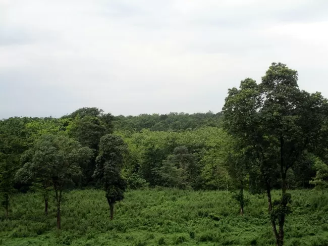 Photo of Buxa Tiger Reserve, Buxa Forest, West Bengal, India by Mustak Ali