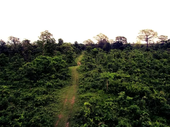 Photo of Buxa Tiger Reserve, Buxa Forest, West Bengal, India by Mustak Ali