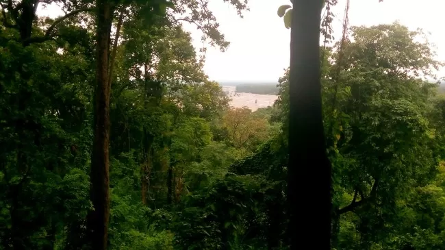 Photo of Buxa Tiger Reserve, Buxa Forest, West Bengal, India by Mustak Ali