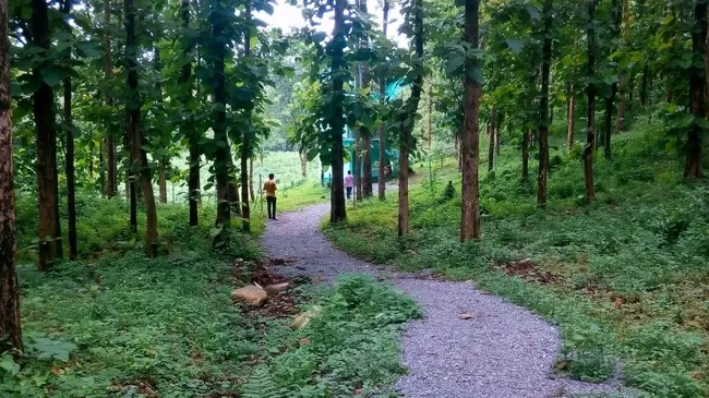 Photo of Buxa Tiger Reserve, Buxa Forest, West Bengal, India by Mustak Ali