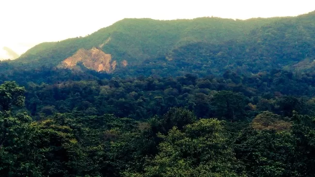 Photo of Buxa Tiger Reserve, Buxa Forest, West Bengal, India by Mustak Ali