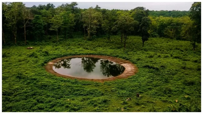 Photo of Buxa Tiger Reserve, Buxa Forest, West Bengal, India by Mustak Ali