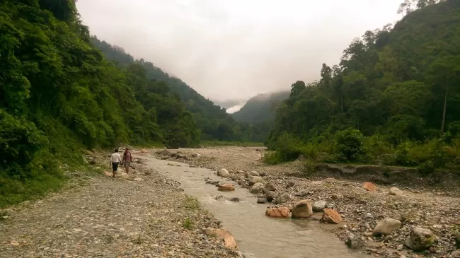 Photo of Buxa Tiger Reserve, Buxa Forest, West Bengal, India by Mustak Ali