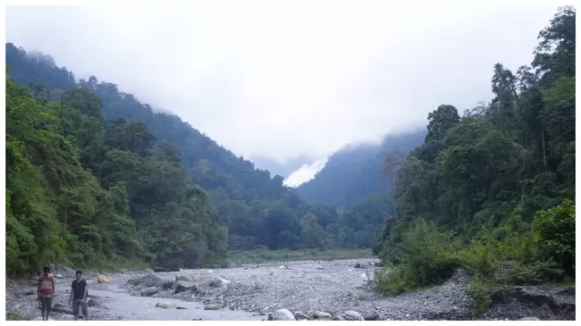 Photo of Buxa Tiger Reserve, Buxa Forest, West Bengal, India by Mustak Ali