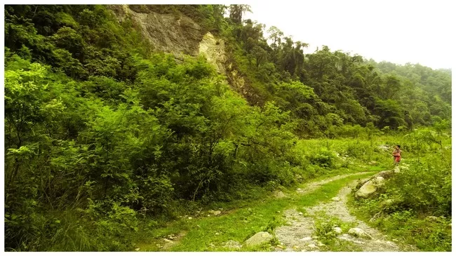 Photo of Buxa Tiger Reserve, Buxa Forest, West Bengal, India by Mustak Ali