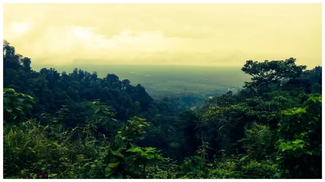 Photo of Buxa Tiger Reserve, Buxa Forest, West Bengal, India by Mustak Ali
