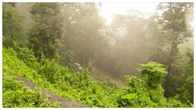 Photo of Buxa Tiger Reserve, Buxa Forest, West Bengal, India by Mustak Ali