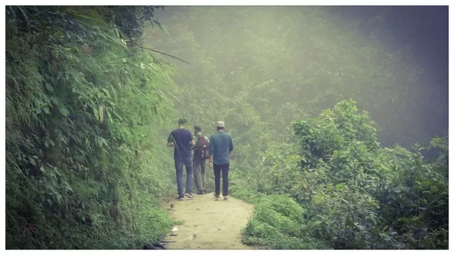 Photo of Buxa Tiger Reserve, Buxa Forest, West Bengal, India by Mustak Ali