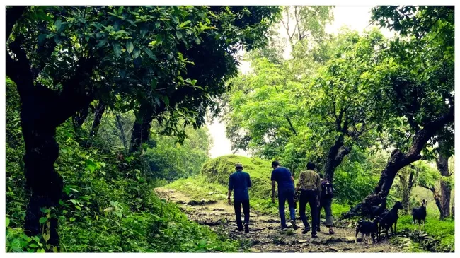 Photo of Buxa Tiger Reserve, Buxa Forest, West Bengal, India by Mustak Ali