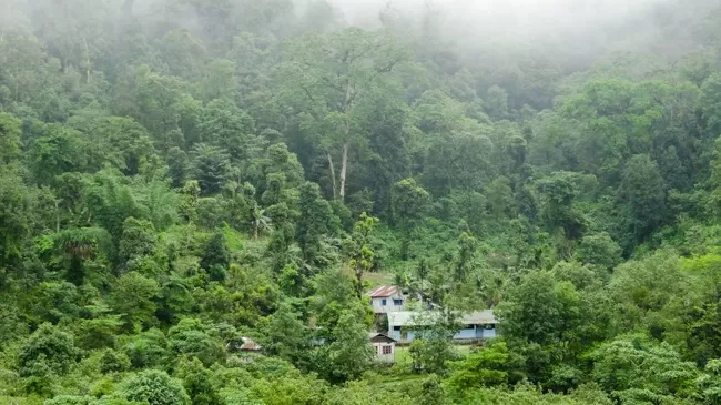 Photo of Buxa Tiger Reserve, Buxa Forest, West Bengal, India by Mustak Ali