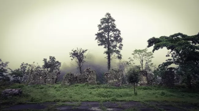 Photo of Buxa Tiger Reserve, Buxa Forest, West Bengal, India by Mustak Ali