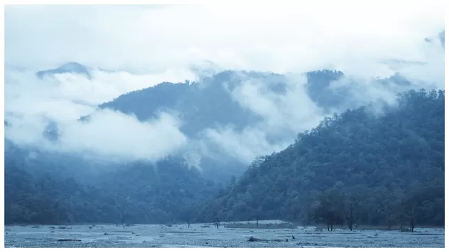 Photo of Buxa Tiger Reserve, Buxa Forest, West Bengal, India by Mustak Ali