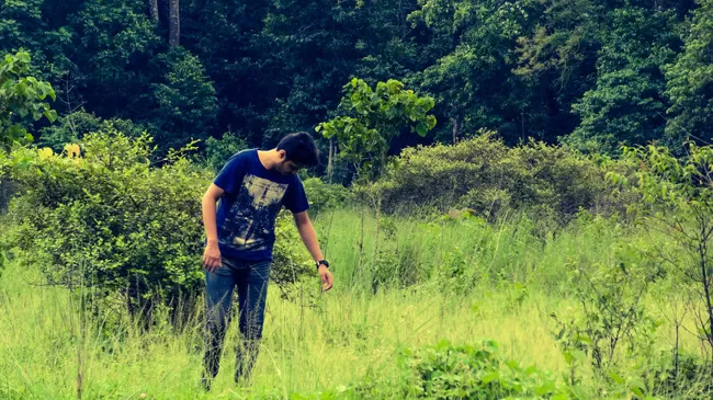 Photo of Buxa Tiger Reserve, Buxa Forest, West Bengal, India by Mustak Ali