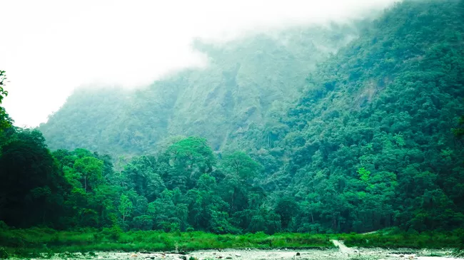 Photo of Buxa Tiger Reserve, Buxa Forest, West Bengal, India by Mustak Ali