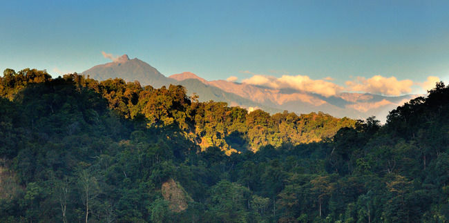 Photo of Namdapha National Park, Miao, Arunachal Pradesh, India by Le Voyageur