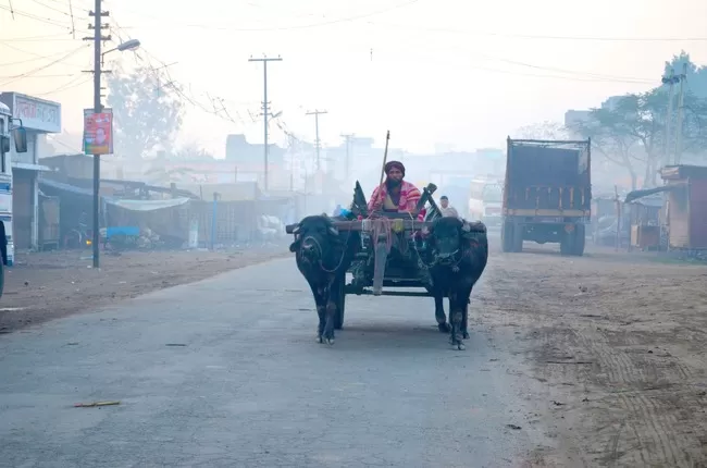 Photo of Dudhwa National Park, Palia Kalan, Uttar Pradesh, India by Arvind Passey 