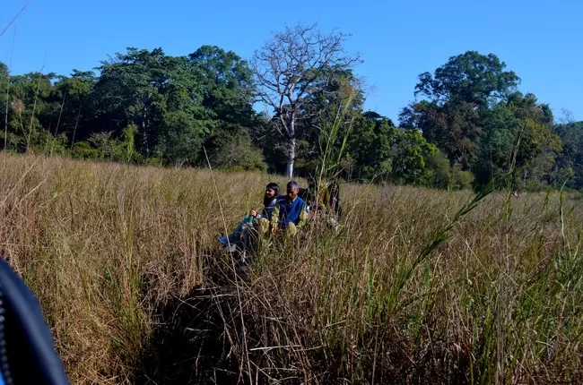 Photo of Dudhwa National Park, Palia Kalan, Uttar Pradesh, India by Arvind Passey 