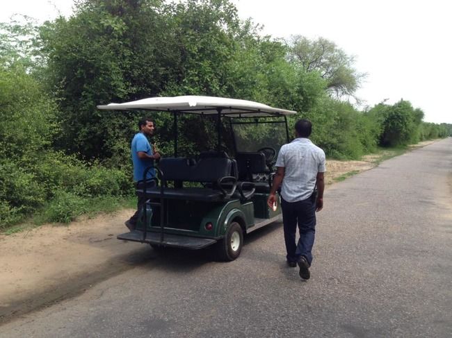 Photo of Bharatpur Bird Sanctuary, Bharatpur, Rajasthan, India by Vidu Gulpadiya