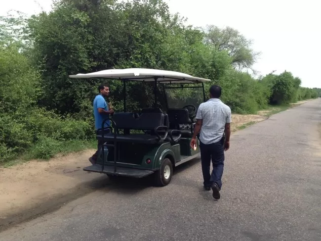 Photo of Bharatpur Bird Sanctuary, Bharatpur, Rajasthan, India by Vidu Gulpadiya