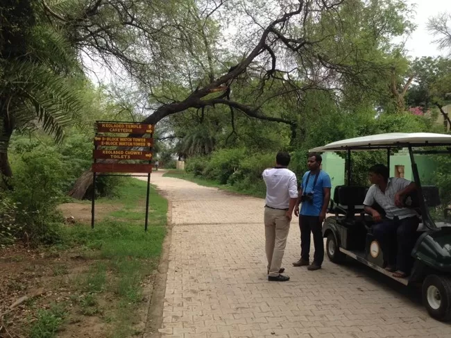 Photo of Bharatpur Bird Sanctuary, Bharatpur, Rajasthan, India by Vidu Gulpadiya