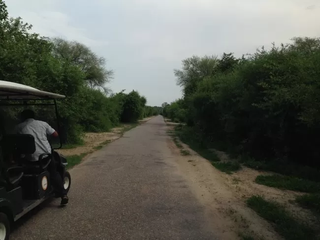 Photo of Bharatpur Bird Sanctuary, Bharatpur, Rajasthan, India by Vidu Gulpadiya