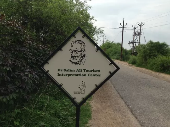 Photo of Bharatpur Bird Sanctuary, Bharatpur, Rajasthan, India by Vidu Gulpadiya