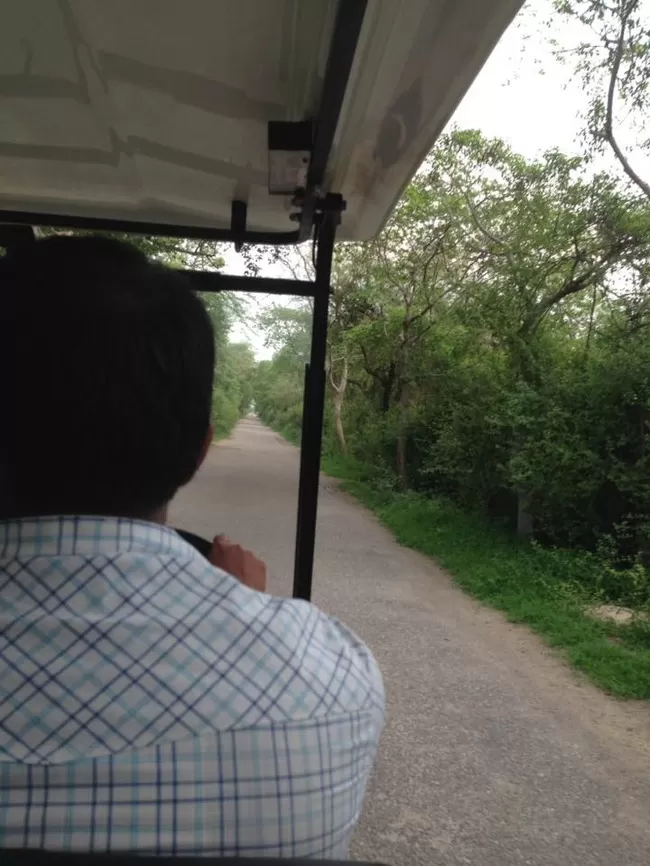 Photo of Bharatpur Bird Sanctuary, Bharatpur, Rajasthan, India by Vidu Gulpadiya