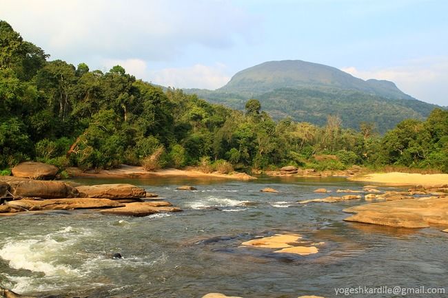 Photo of Kudremukh National Park - Shola Forest by Yogesh Kardile