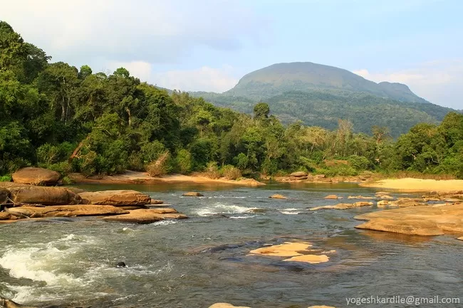 Photo of Kudremukh National Park - Shola Forest by Yogesh Kardile