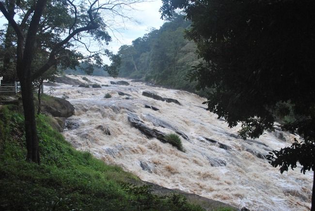 Photo of Athirapally Waterfalls, Pariyaram, Kerala, India by Nitish Raj