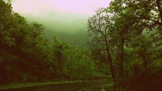 Photo of Malshej Ghat, Pune, Maharashtra, India by _itchyfeettrips