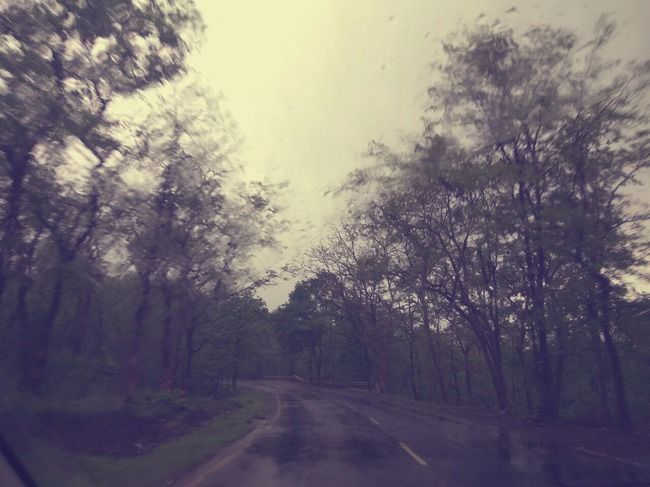 Photo of Malshej Ghat, Pune, Maharashtra, India by _itchyfeettrips