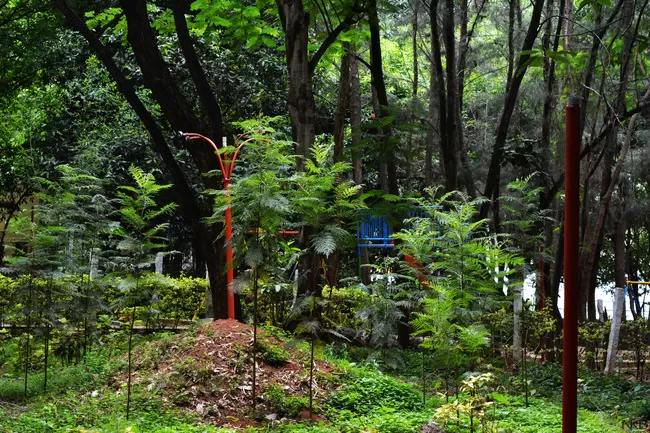 Photo of Yelagiri, Tamil Nadu, India by Nilesh Kumar