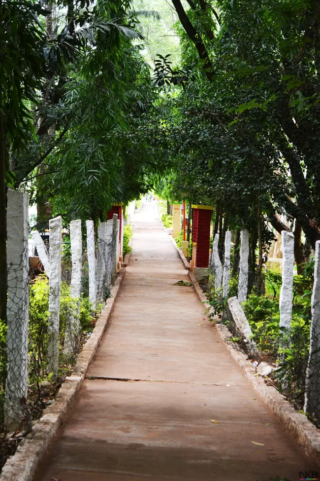 Photo of Yelagiri, Tamil Nadu, India by Nilesh Kumar