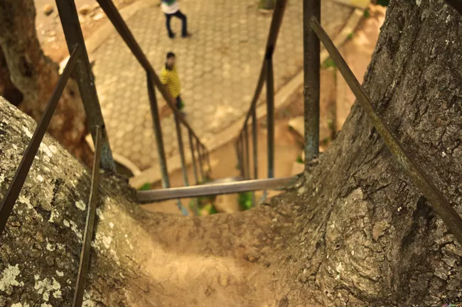 Photo of Yelagiri, Tamil Nadu, India by Nilesh Kumar