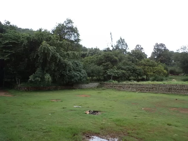 Photo of Yelagiri, Tamil Nadu, India by Manish Menon