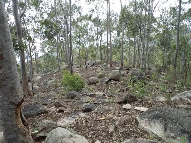 Photo of Yelagiri, Tamil Nadu, India by Manish Menon