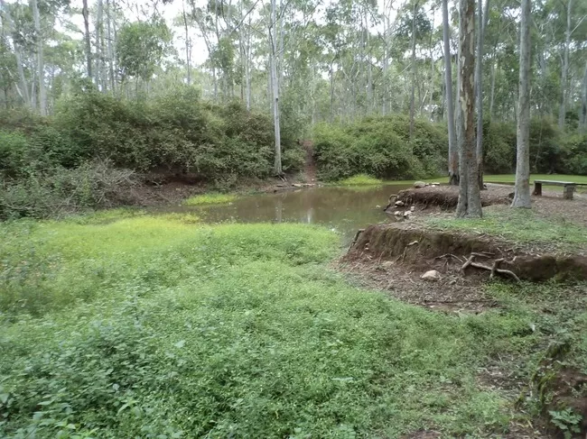 Photo of Yelagiri, Tamil Nadu, India by Manish Menon