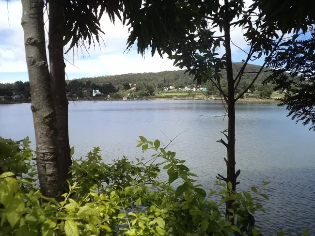 Photo of Yelagiri, Tamil Nadu, India by Manish Menon