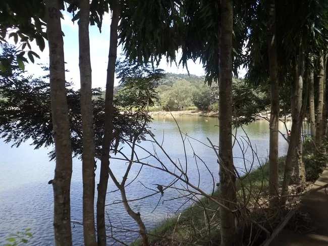 Photo of Yelagiri, Tamil Nadu, India by Manish Menon