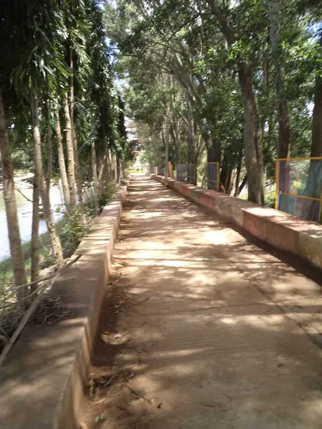 Photo of Yelagiri, Tamil Nadu, India by Manish Menon