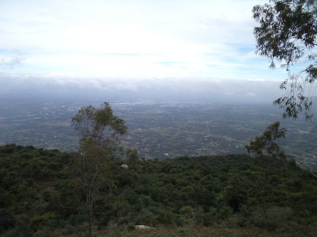 Photo of Yelagiri - The Perfect Place from Chennai and Bangalore by Manish Menon