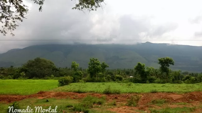 Photo of Yelagiri, Tamil Nadu, India by Shwetha