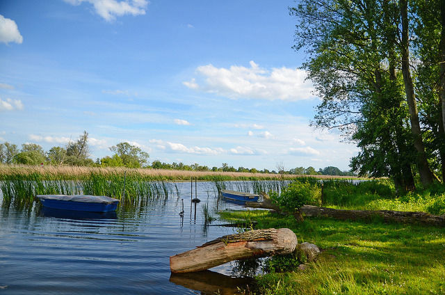Photo of Uckermark, Germany by Himani Khatreja