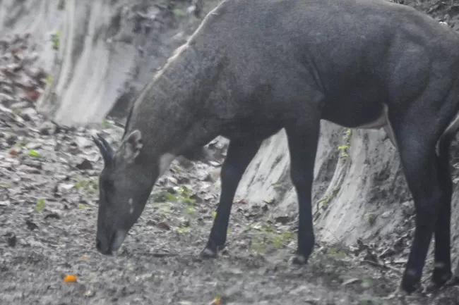 Photo of Valmiki Nagar, Bihar, India by Barun Raj